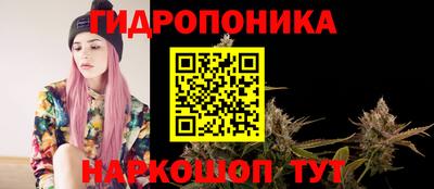 эйфоретик Будённовск