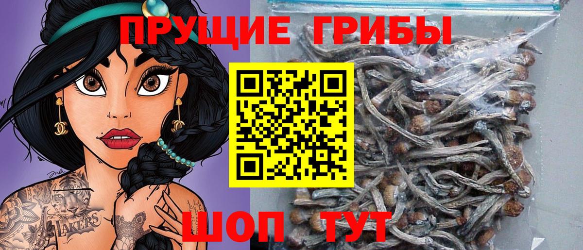 Псилоцибиновые грибы Psilocybine cubensis  Вход с VPN  Курган  Галлюциногенные грибы прущие грибы 