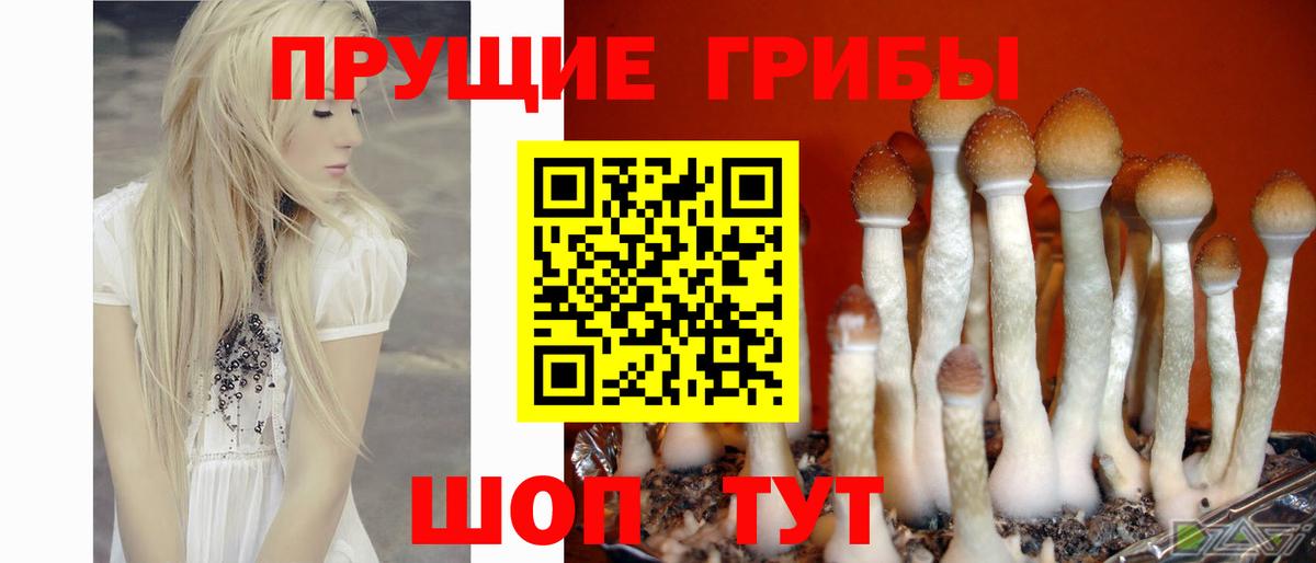 Галлюциногенные грибы Magic Shrooms Курган